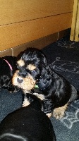 MARLEY